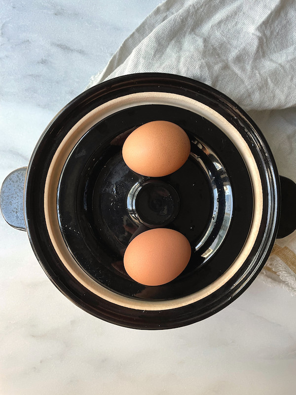 egg donabe